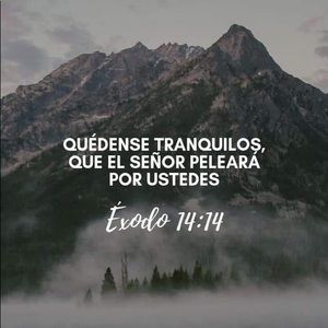 Meet your Posher, Nataly